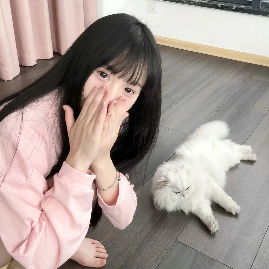 白日青春